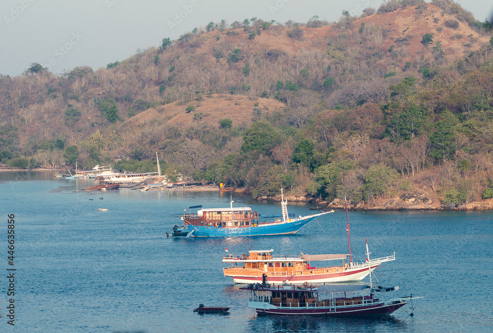 Line up of boats in Labuan Bajo