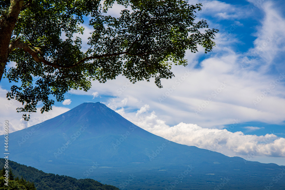 mountain and tree mountain and tree