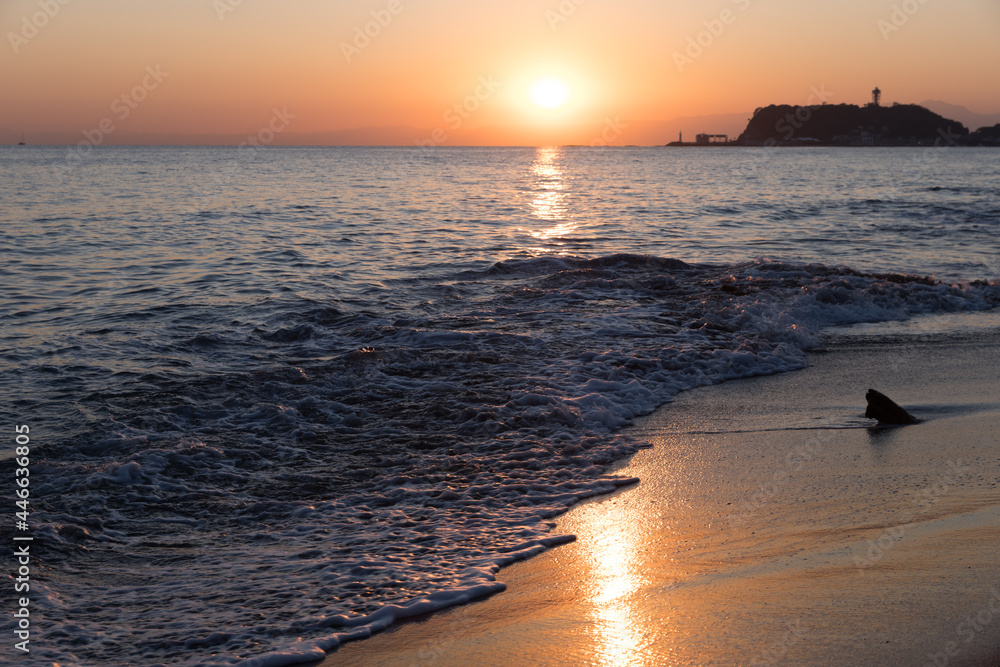 Naklejka premium 海岸に沈む夕日