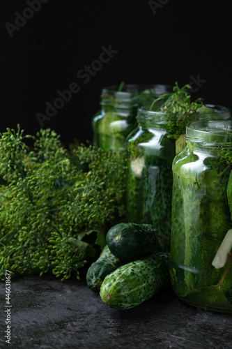 Homemade pickled cucumbers in the glass jar and fresh dill on black background. Low key photo  copy space