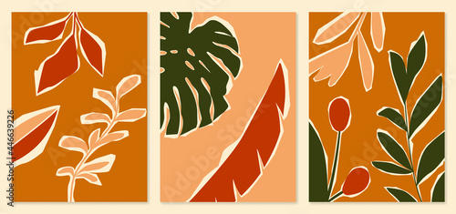 Abstract botanical illustration - monstera leaf, tropical leaves, berries, template for social media. Trendy mid century art, boho home decor, abstract floral wall art