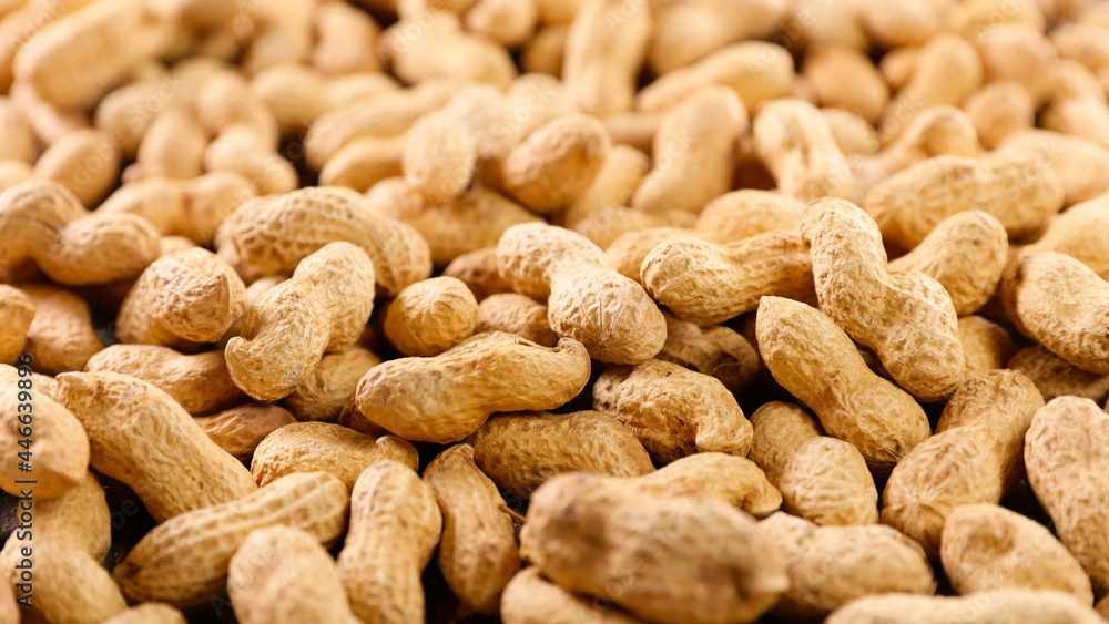 close up on peanut background close up on peanut background
