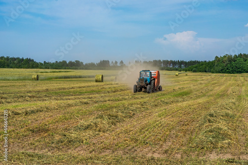 On the rye field, the tractor is harvesting in fresh grass hay.