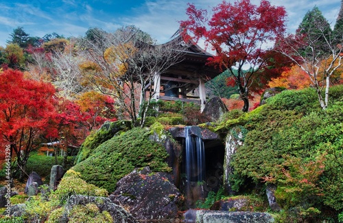色づく日本庭園の紅葉