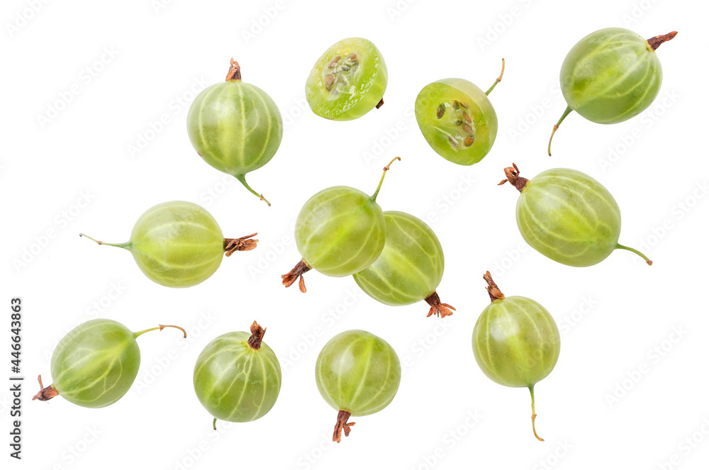 Green gooseberry flying on a white background, levitating gooseberry. Isolated Green gooseberry flying on a white background, levitating gooseberry. Isolated