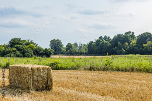 A large bale of straw in a harvested wheat field with a buffer strip of prairie and another wheat field in the distance. photo