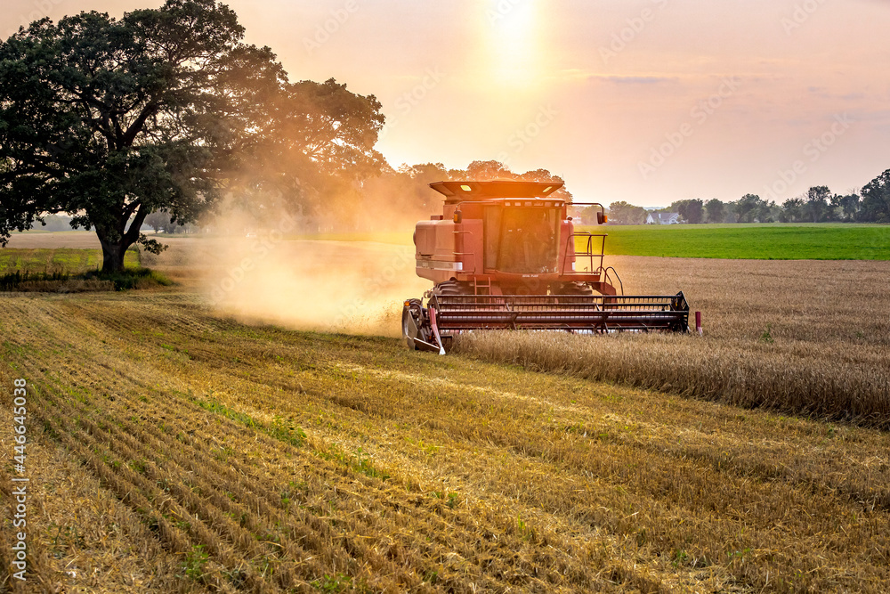 Obraz premium A combine harvesting wheat under a hazy, smoke-filled sky during sunset.