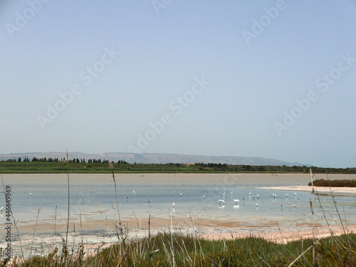 assolata e silenziosa  vista della riserva naturale di Vendicari in Sicilia