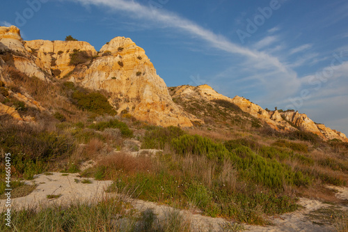 Yellow erosion cliffs overgrown with vegetation on the Matalascanas beach - one of the most beautiful beaches in Spain, Huelva.