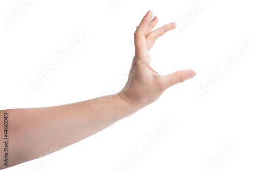 Female hand showing size or holding something gesture isolated on white background