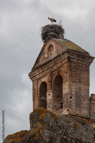 White stork built a nest on the old bell tower in Donana National Park, Huelva, Spain photo