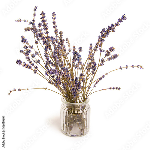 Bouquet of dried mountain lavender in glass vase isolated on white background