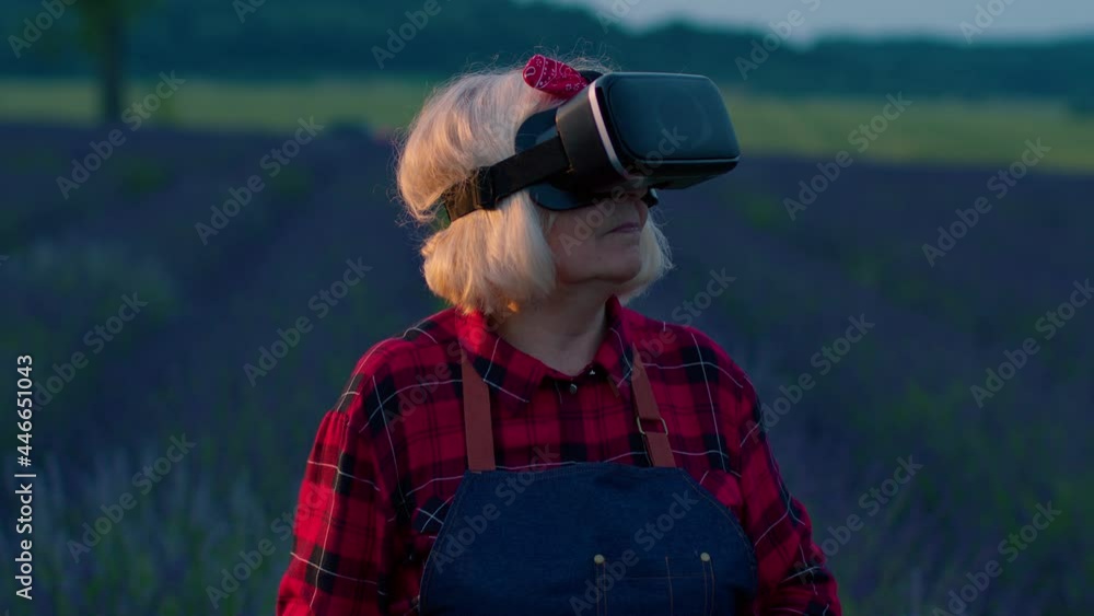 Senior grandmother farmer in virtual reality helmet in field of lavender flowers. Woman wearing VR glasses headset entertaining virtual agronomy scientific hologram managing quality system programming Senior grandmother farmer in virtual reality helmet in field of lavender flowers. Woman wearing VR glasses headset entertaining virtual agronomy scientific hologram managing quality system programming