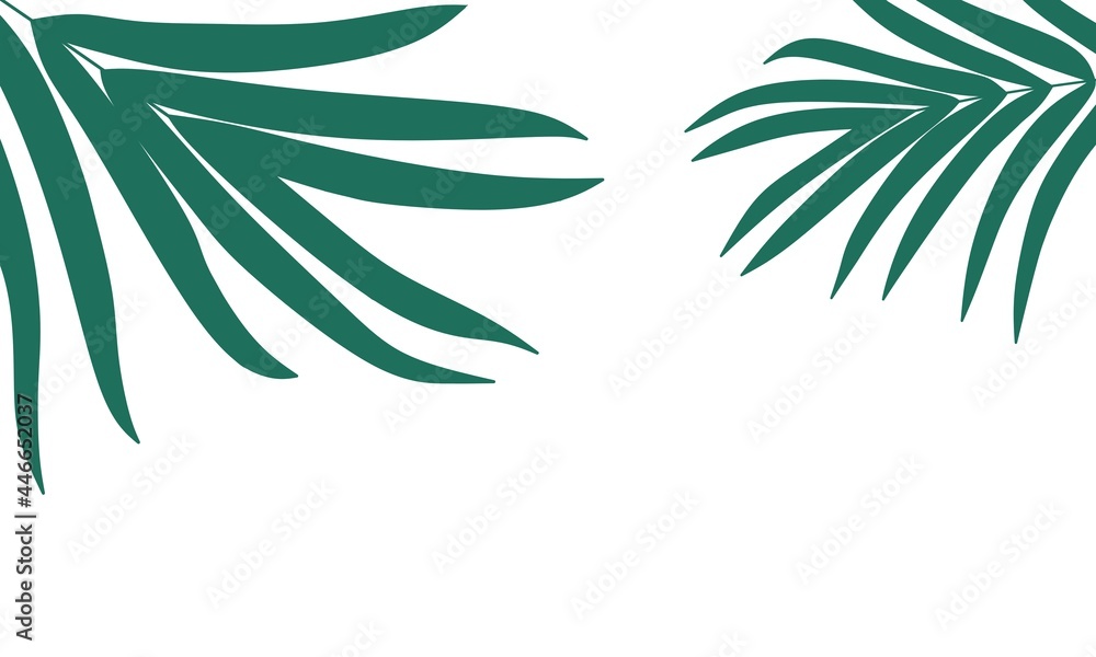 coconut leaf illustration dark green white background