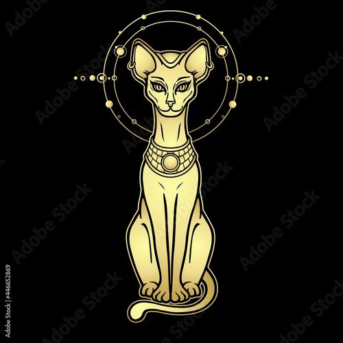 Animation portrait Ancient Egyptian goddess Bastet (Bast). Sacred cat. Orbits of planets, space symbols. Vector illustration isolated on a black background. Imitation of gold. Print, poster, tatoo.