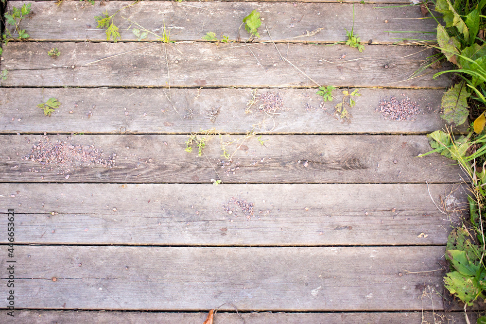 Fototapeta premium Wooden pallet planks with grass and wild flowers, copy space background