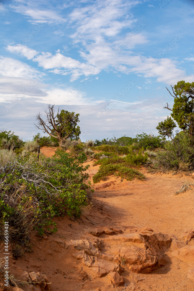 Desert landscape on the approach to Observation Point. Zion National Park, Utah, Illinois Desert landscape on the approach to Observation Point. Zion National Park, Utah, Illinois