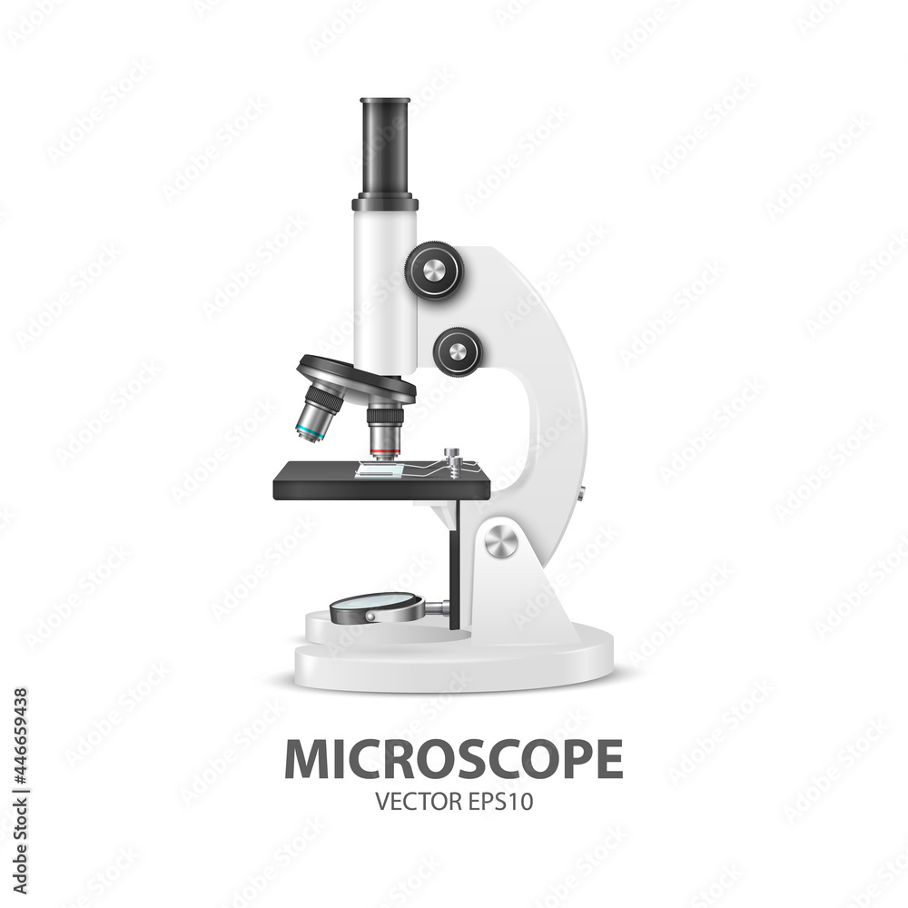 Vector 3d Realistic White Laboratory, School Microscope Isolated on White. Chemistry, Microbiology Tool. Science, Lab, Research, Education Concept. Design Template, Mockup. Front View Vector 3d Realistic White Laboratory, School Microscope Isolated on White. Chemistry, Microbiology Tool. Science, Lab, Research, Education Concept. Design Template, Mockup. Front View