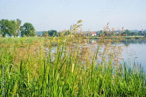 On the shore of the pond 