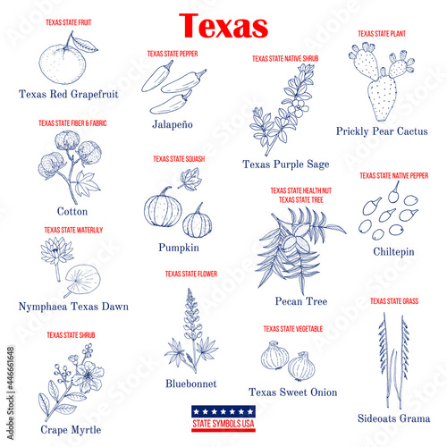 Texas. Set of USA official state symbols
