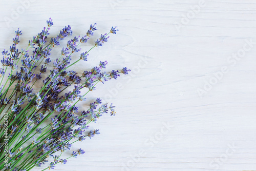 Beautiful lavender flowers on a white wooden background.