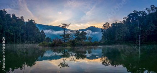 Dramatic reflecting scenic view of a lake in the forest during foggy morning
