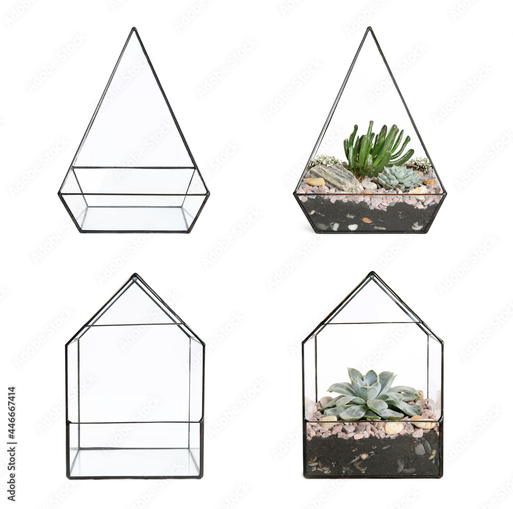 Fototapeta premium Set with beautiful florariums on white background