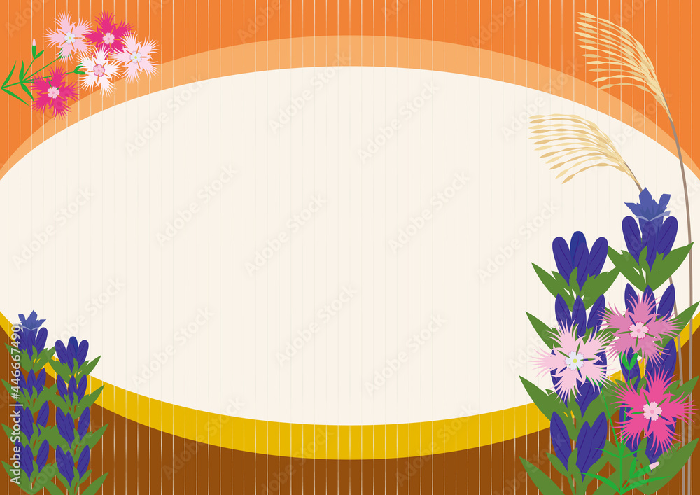 Fototapeta premium Web