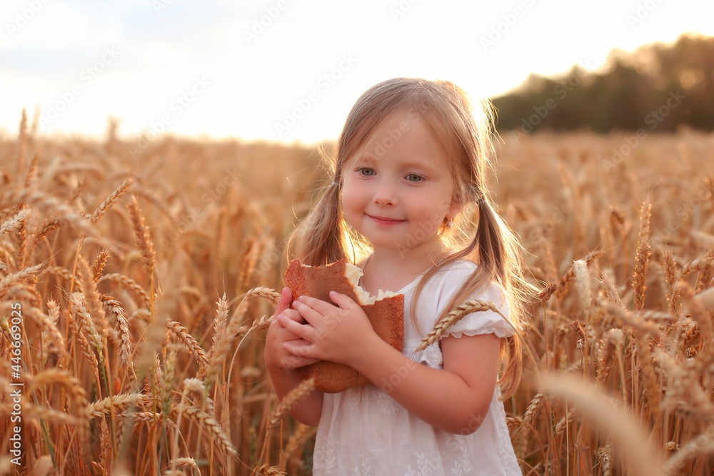 a little blonde girl with tails in a white blouse gently hugs bread and smiles standing in a wheat field at sunset a little blonde girl with tails in a white blouse gently hugs bread and smiles standing in a wheat field at sunset