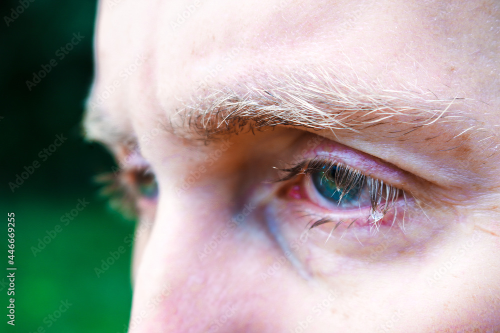 Obraz premium The eye is watching something. Maybe sad or biased.