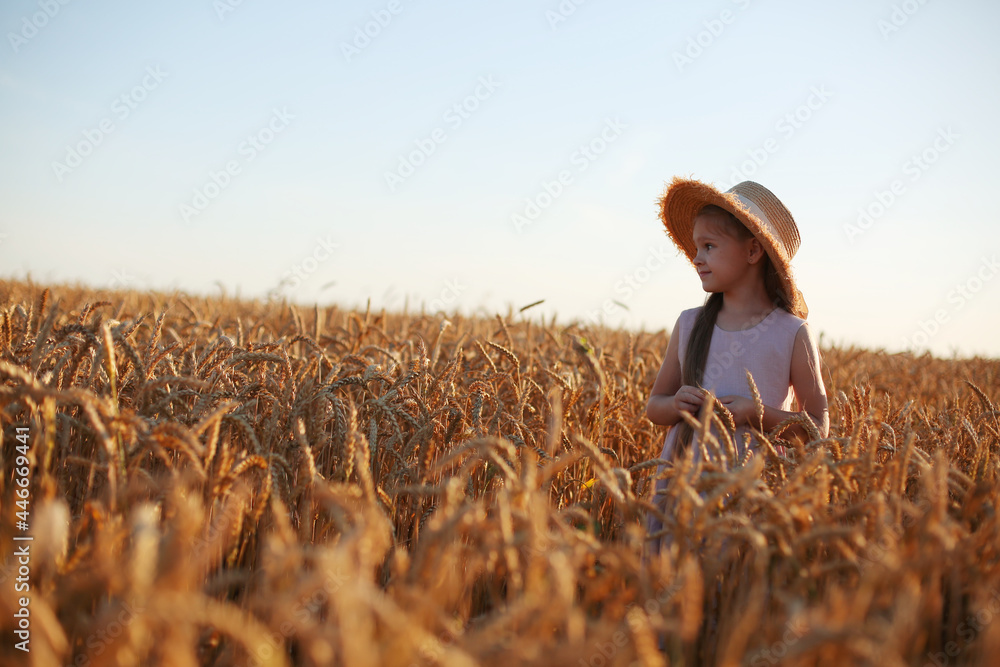 a beautiful blonde girl with long hair in a pink linen dress and a straw hat stands in a wheat field in the setting sun a beautiful blonde girl with long hair in a pink linen dress and a straw hat stands in a wheat field in the setting sun