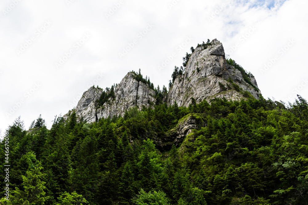Zanoagei gorges in Carpathians mountains. Romania, Europe.