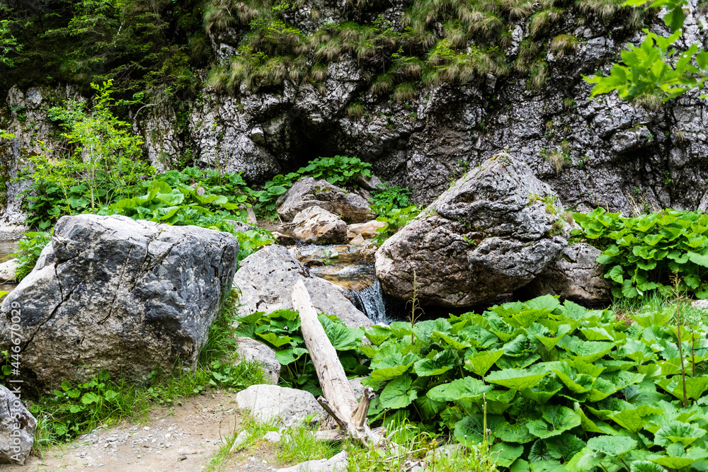 Zanoagei gorges in Carpathians mountains. Romania, Europe.