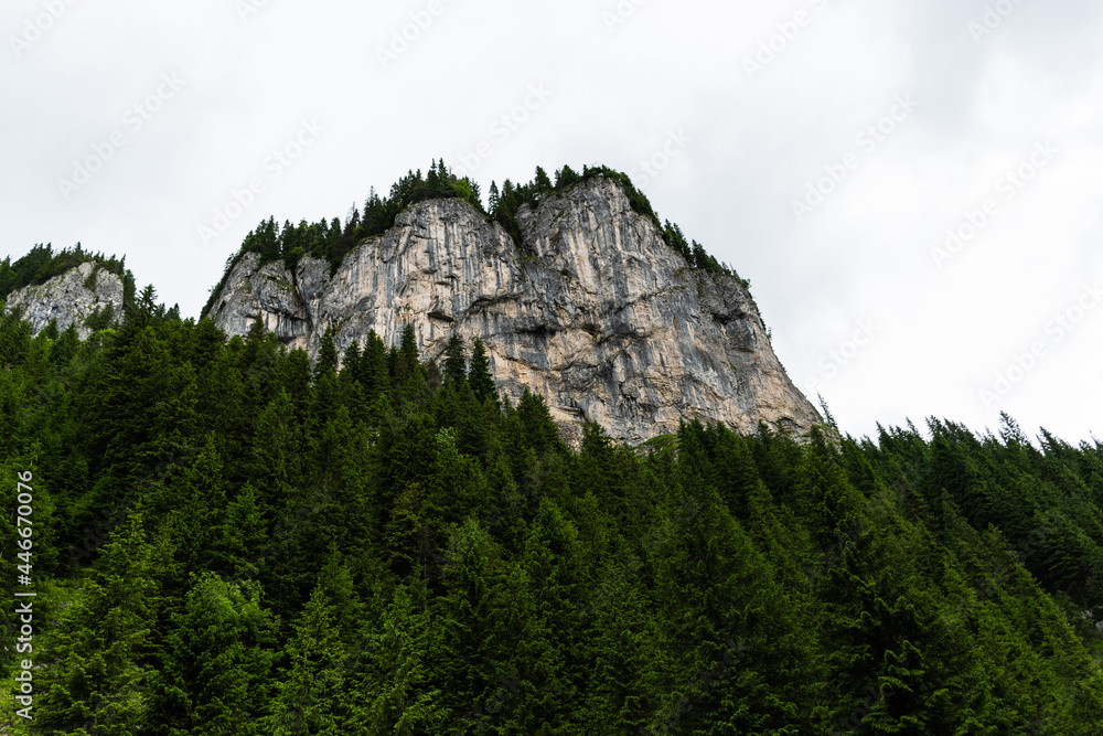 Zanoagei gorges in Carpathians mountains. Romania, Europe.