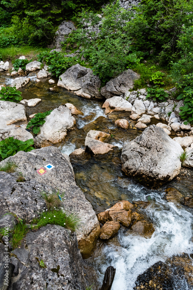 Zanoagei gorges in Carpathians mountains. Romania, Europe.