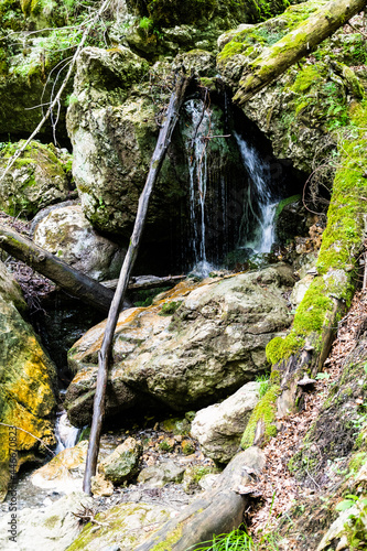 Zanoagei gorges in Carpathians mountains. Romania, Europe. photo