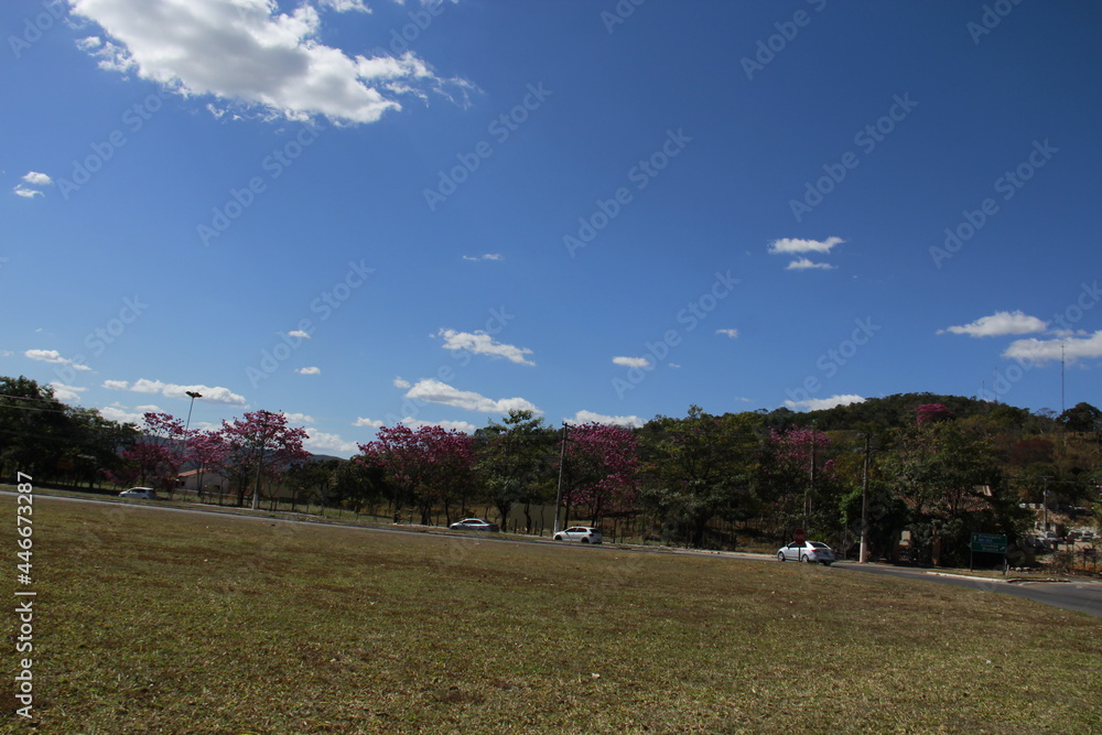 spring in the park