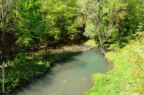 landscape of a clean green river