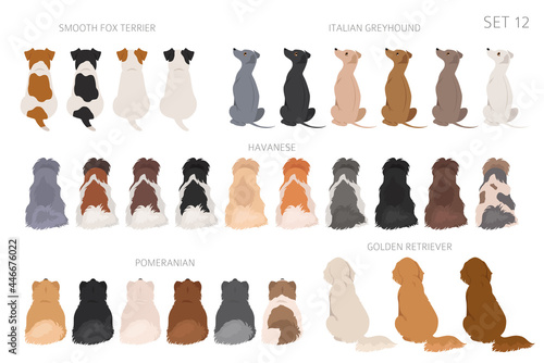 Sitting dogs backside clipart, rear view. Diifferent coat colors variety. Pet graphic design for dog lovers