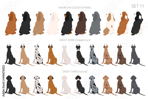 Sitting dogs backside clipart, rear view. Diifferent coat colors variety. Pet graphic design for dog lovers