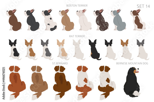 Sitting dogs backside clipart, rear view. Diifferent coat colors variety. Pet graphic design for dog lovers