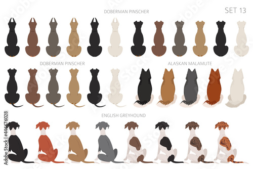 Sitting dogs backside clipart, rear view. Diifferent coat colors variety. Pet graphic design for dog lovers