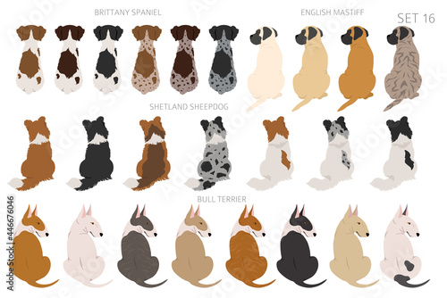Stampa su tela Sitting dogs backside clipart, rear view