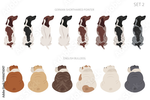 Sitting dogs backside clipart, rear view. Diifferent coat colors variety. Pet graphic design for dog lovers
