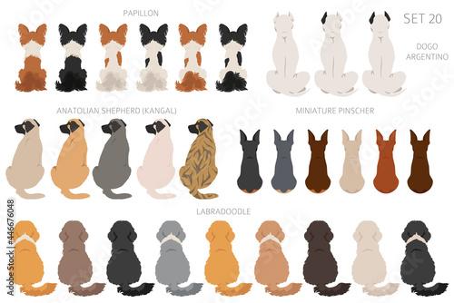 Sitting dogs backside clipart, rear view. Diifferent coat colors variety. Pet graphic design for dog lovers