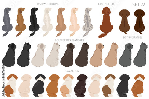 Sitting dogs backside clipart, rear view. Diifferent coat colors variety. Pet graphic design for dog lovers