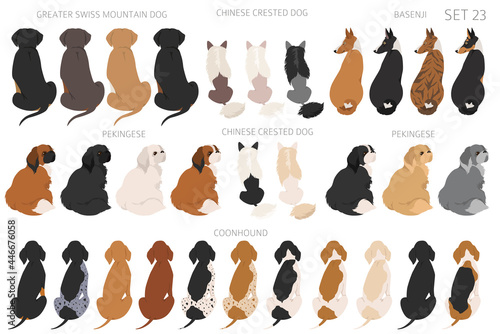 Sitting dogs backside clipart, rear view. Diifferent coat colors variety. Pet graphic design for dog lovers