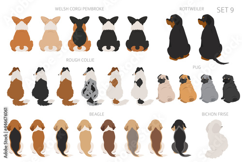 Sitting dogs backside clipart, rear view. Diifferent coat colors variety. Pet graphic design for dog lovers