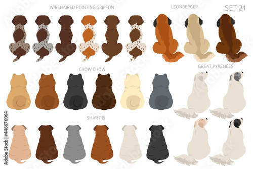 Sitting dogs backside clipart, rear view. Diifferent coat colors variety. Pet graphic design for dog lovers photo
