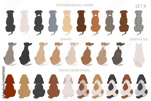 Sitting dogs backside clipart, rear view. Diifferent coat colors variety. Pet graphic design for dog lovers